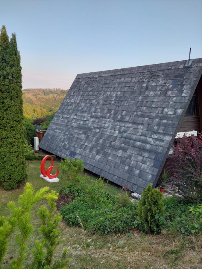 Haus Am See Willingen Exterior foto