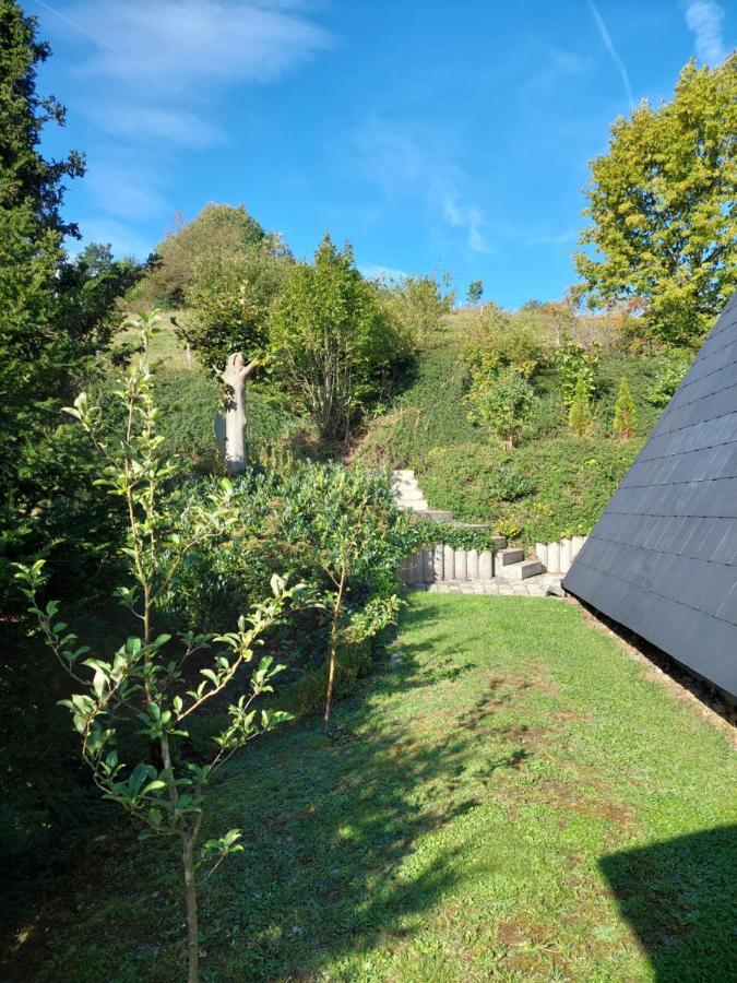 Haus Am See Willingen Exterior foto